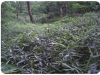 九游会网页登录 -v114514图片